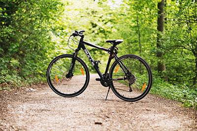 Bikes in Sneyd Park
