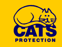 CATS PROTECTION COFFEE MORNING