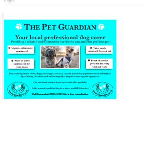 The Pet Guardian