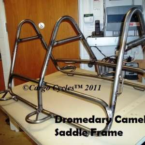 Dromedary Camel Saddle frame.
