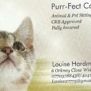 Purr-Fect Cat Sitting