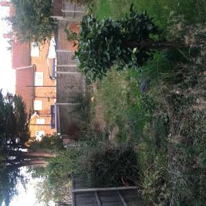 Hi my garden needs a makeover want slabs laying and garden level flat as it on different levels slightly thanks Tracie